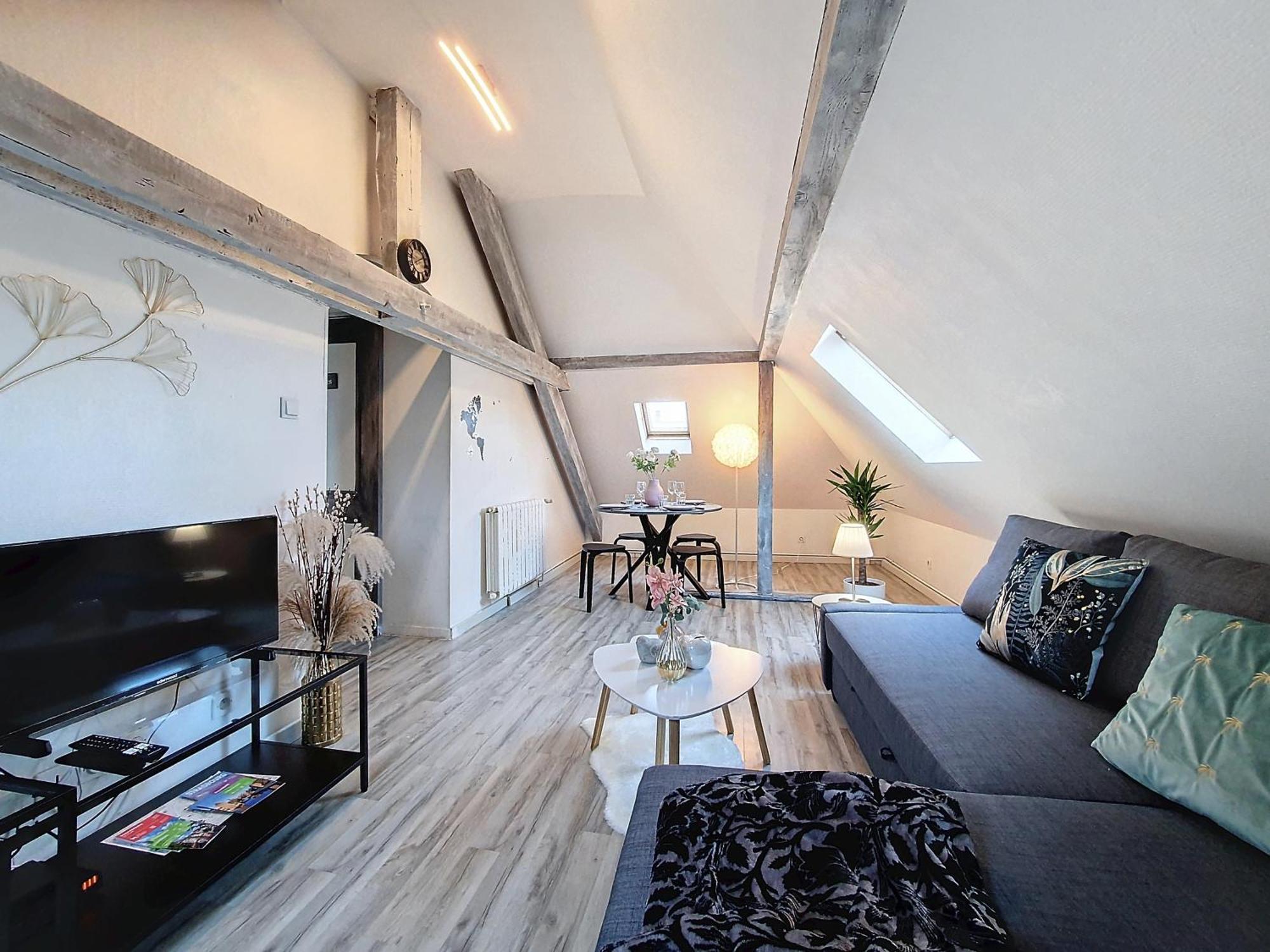 Schilik'chic - Confort - Proche Centre-ville Et Institutions Europeennes - Stationnement Facile Apartment *